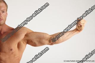 Bodybuilding reference poses of Alberto